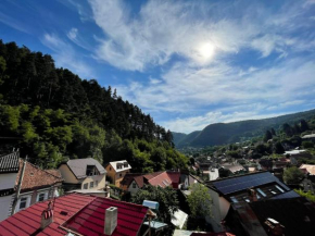 Dream House Brasov